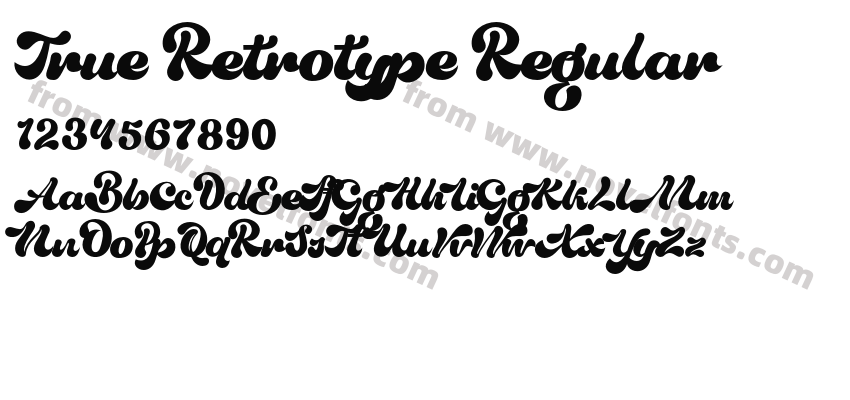 True Retrotype RegularPreview