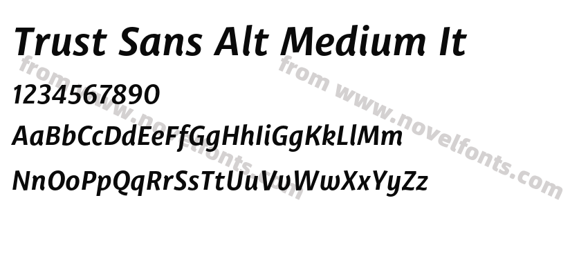 Trust Sans Alt Medium ItPreview