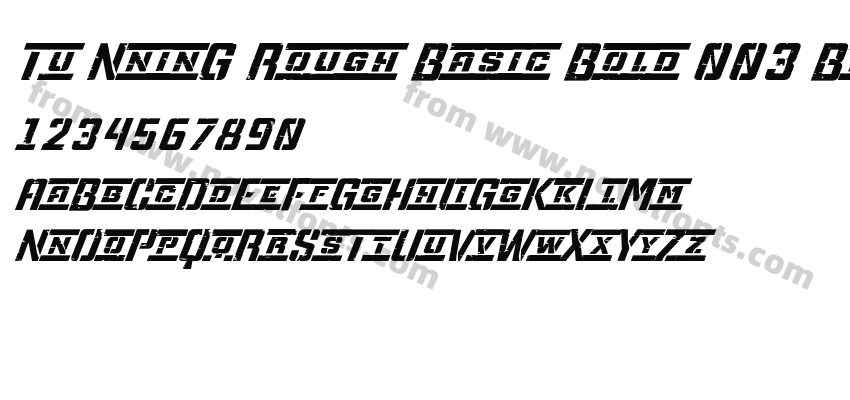Tu NninG Rough Basic Bold 003 BasicPreview