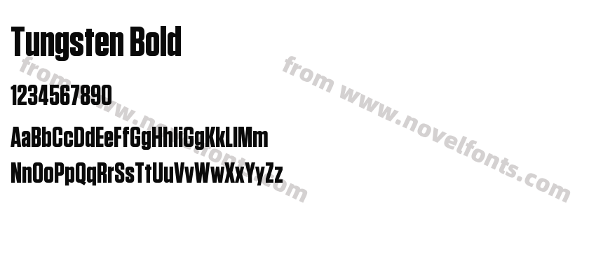 Tungsten BoldPreview