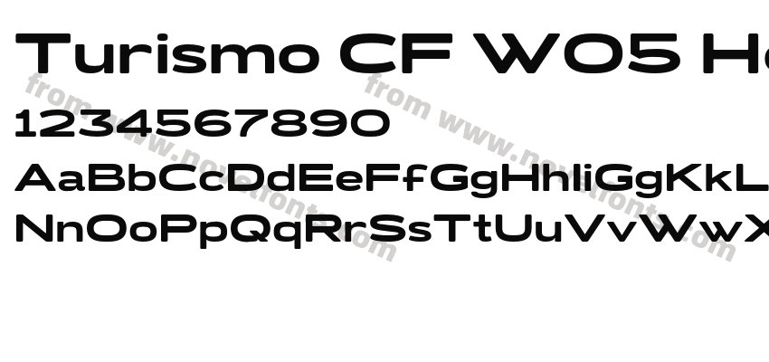 Turismo CF W05 HeavyPreview