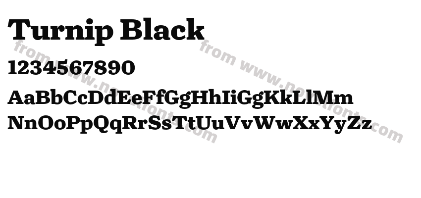 Turnip BlackPreview