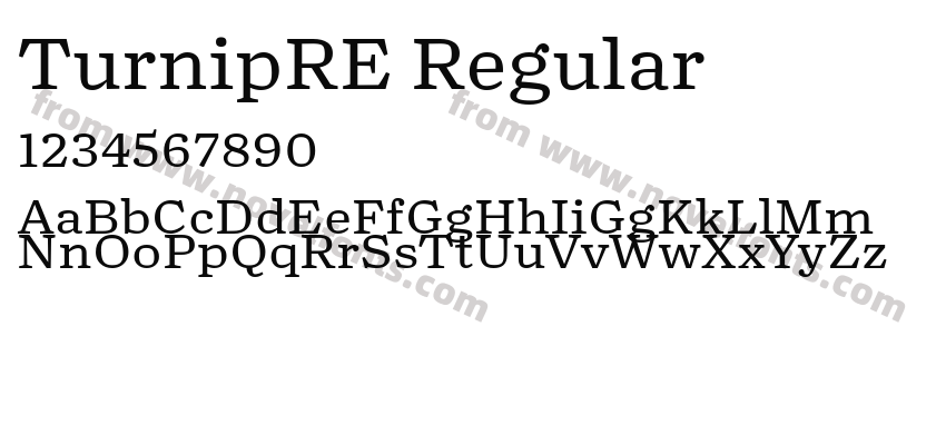 TurnipRE RegularPreview