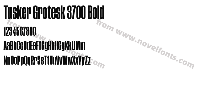 Tusker Grotesk 3700 BoldPreview