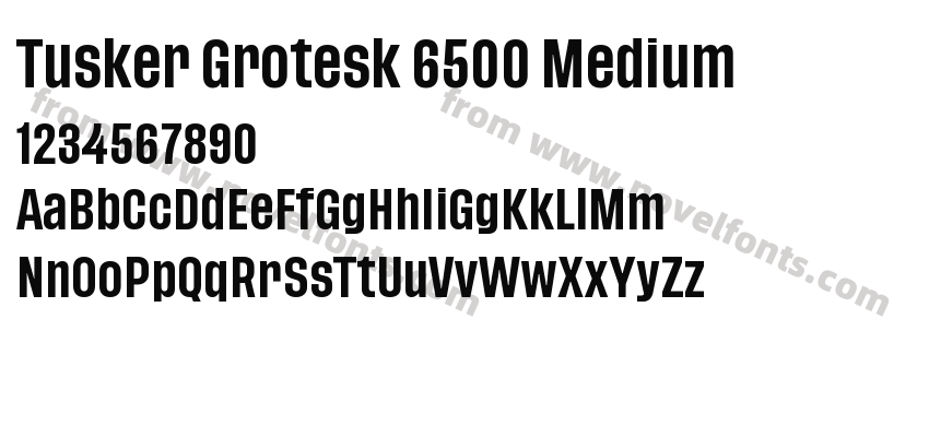 Tusker Grotesk 6500 MediumPreview