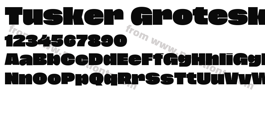 Tusker Grotesk 9800 SuperPreview