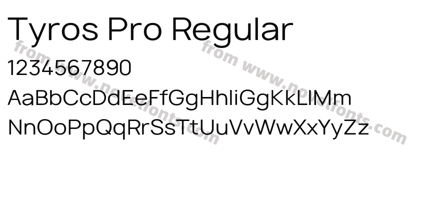 Tyros Pro RegularPreview