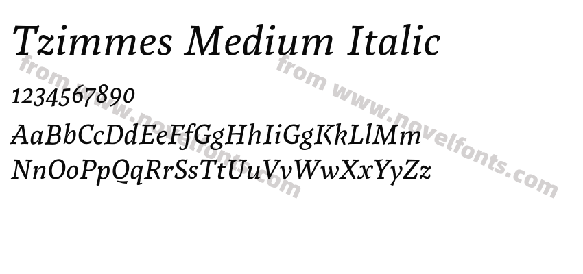 Tzimmes Medium ItalicPreview
