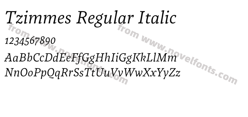 Tzimmes Regular ItalicPreview