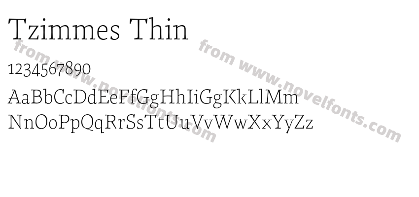 Tzimmes ThinPreview