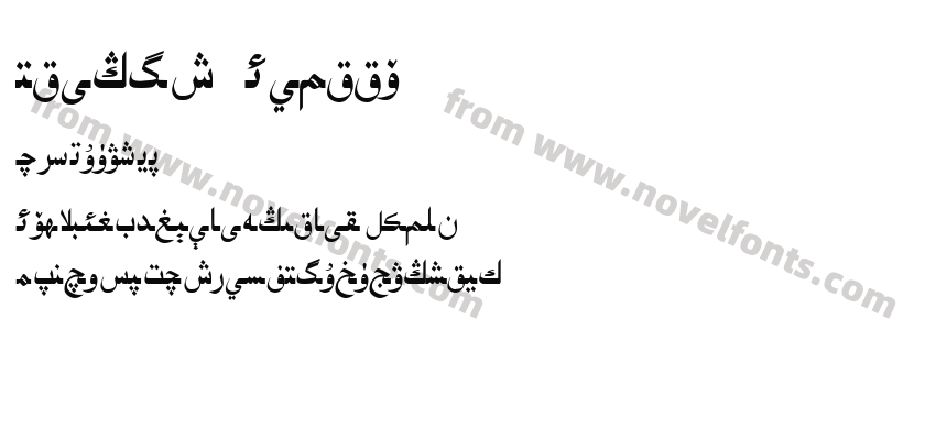 Uighur AsliyaPreview
