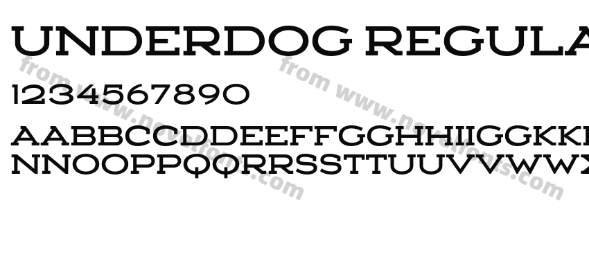 Underdog RegularPreview