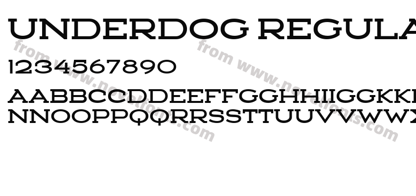 Underdog RegularPreview
