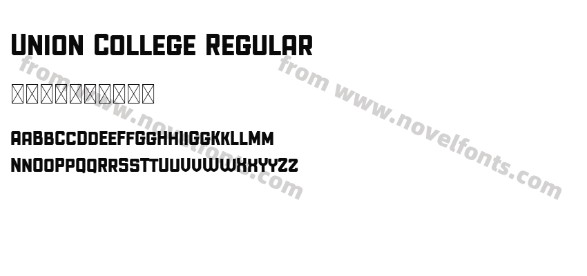 Union College RegularPreview