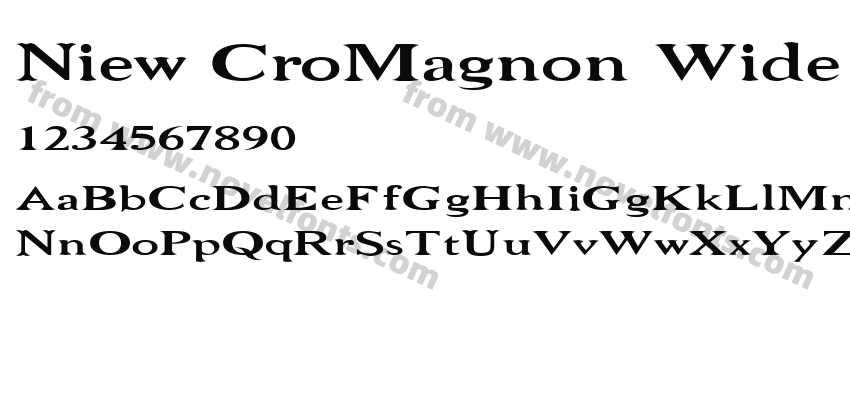 Niew CroMagnon WidePreview