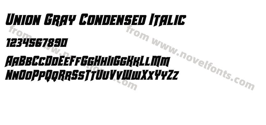 Union Gray Condensed ItalicPreview