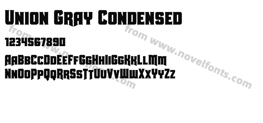 Union Gray CondensedPreview