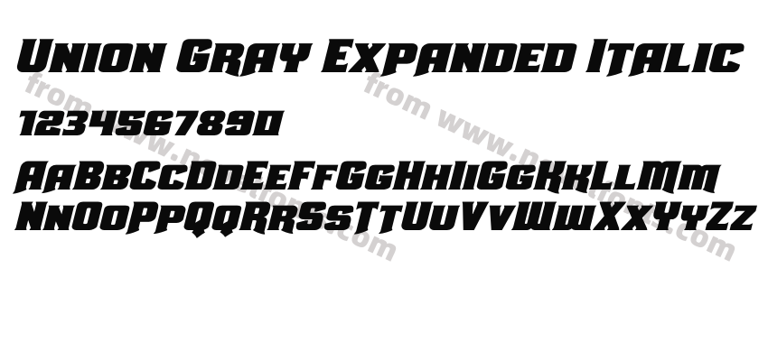 Union Gray Expanded ItalicPreview