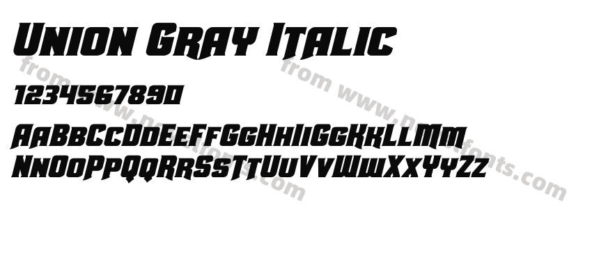 Union Gray ItalicPreview
