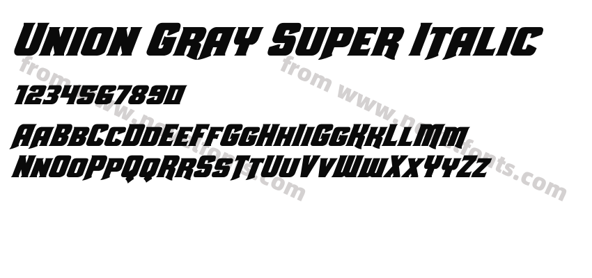 Union Gray Super ItalicPreview