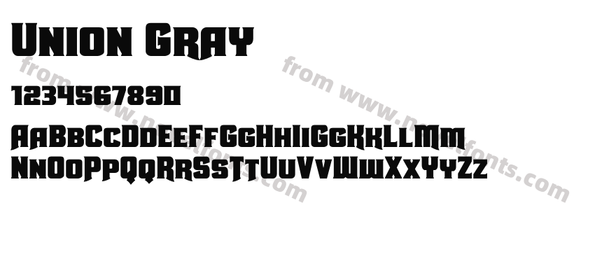 Union GrayPreview