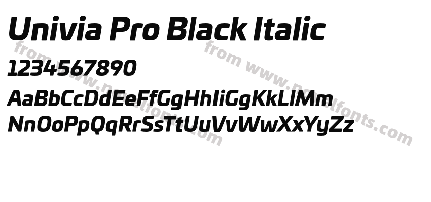 Univia Pro Black ItalicPreview