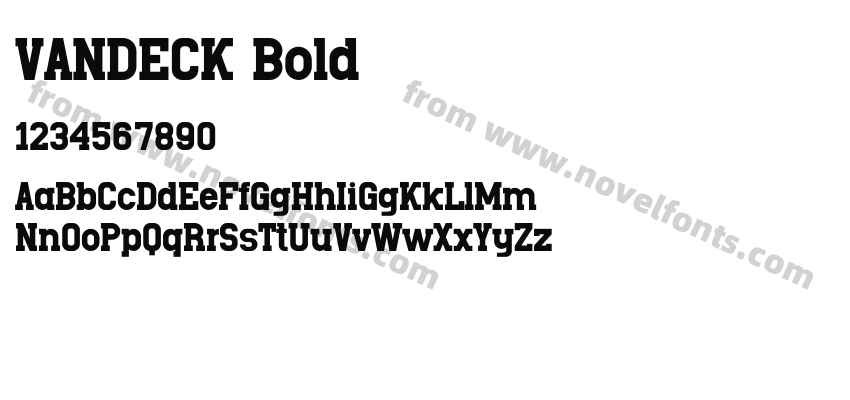 VANDECK BoldPreview