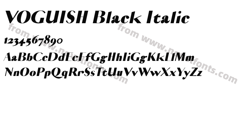 VOGUISH Black ItalicPreview