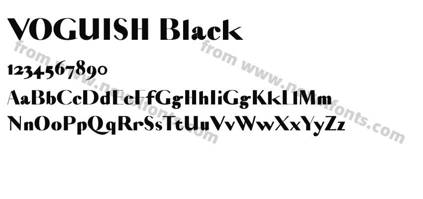 VOGUISH BlackPreview