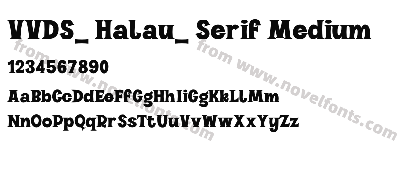 VVDS_ Halau_ Serif MediumPreview