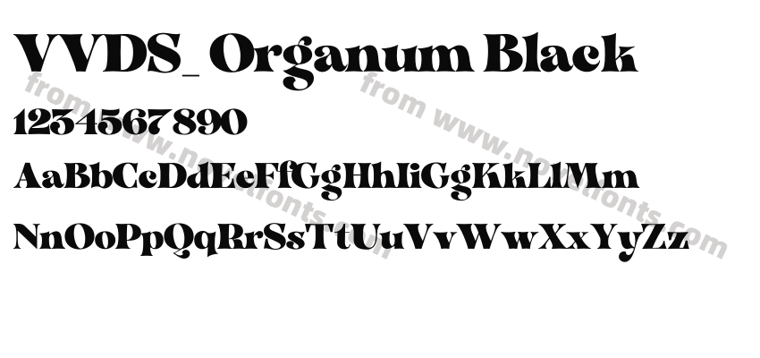 VVDS_ Organum BlackPreview