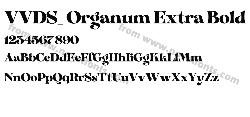 VVDS_ Organum Extra BoldPreview
