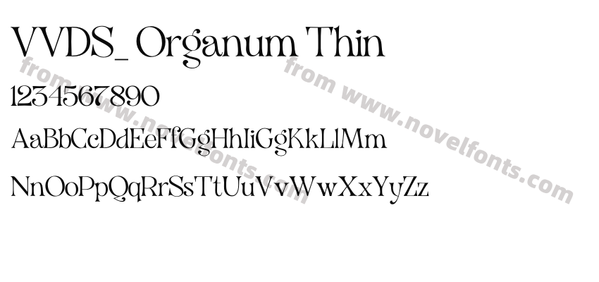 VVDS_ Organum ThinPreview