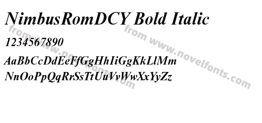 NimbusRomDCY Bold ItalicPreview