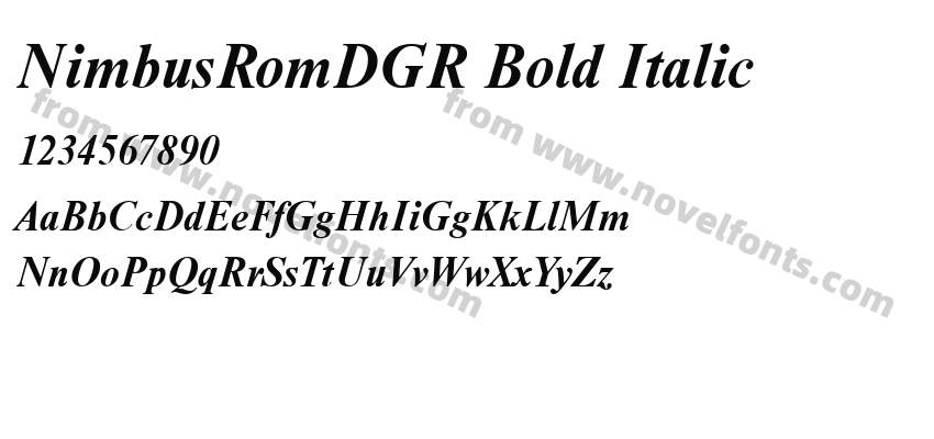 NimbusRomDGR Bold ItalicPreview