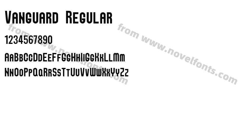 Vanguard RegularPreview