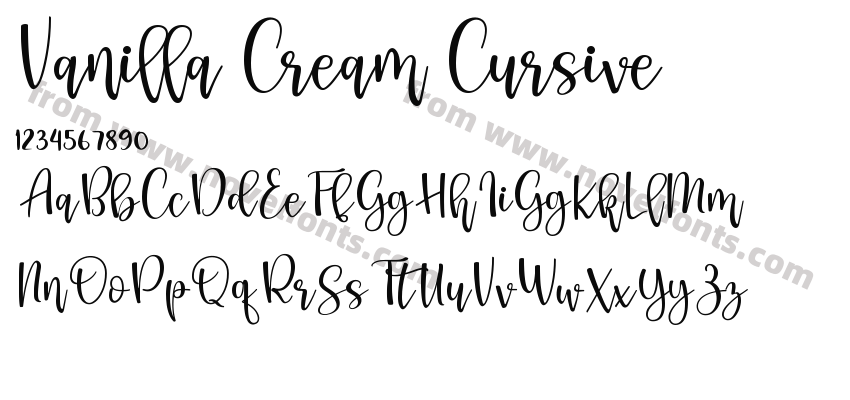 Vanilla Cream CursivePreview