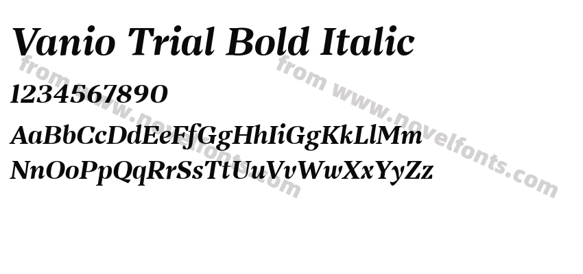 Vanio Trial Bold ItalicPreview