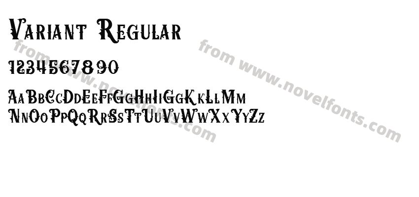 Variant RegularPreview