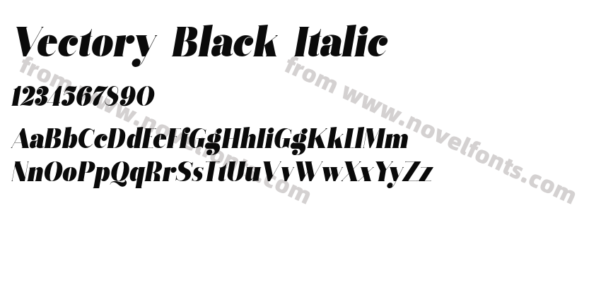Vectory Black ItalicPreview