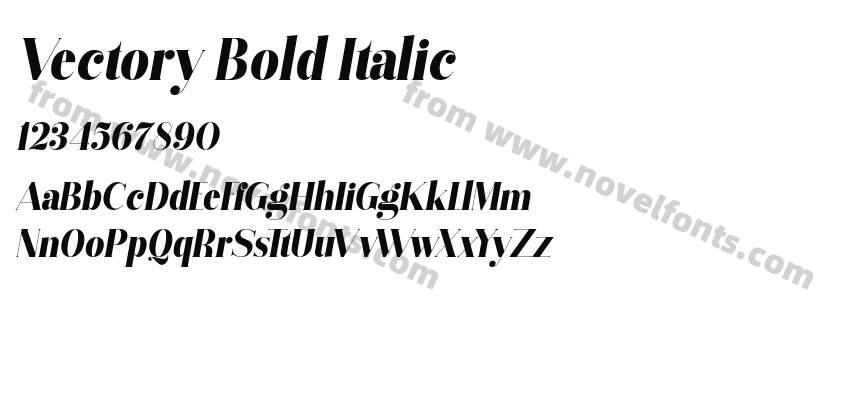 Vectory Bold ItalicPreview