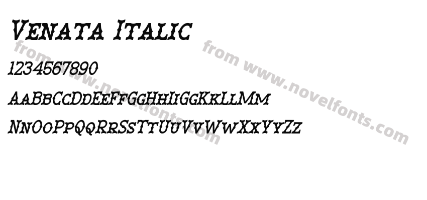 Venata ItalicPreview