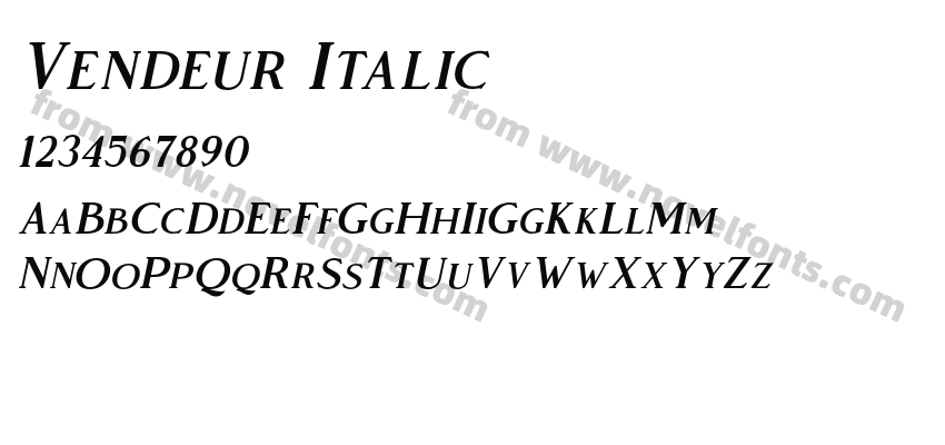 Vendeur ItalicPreview