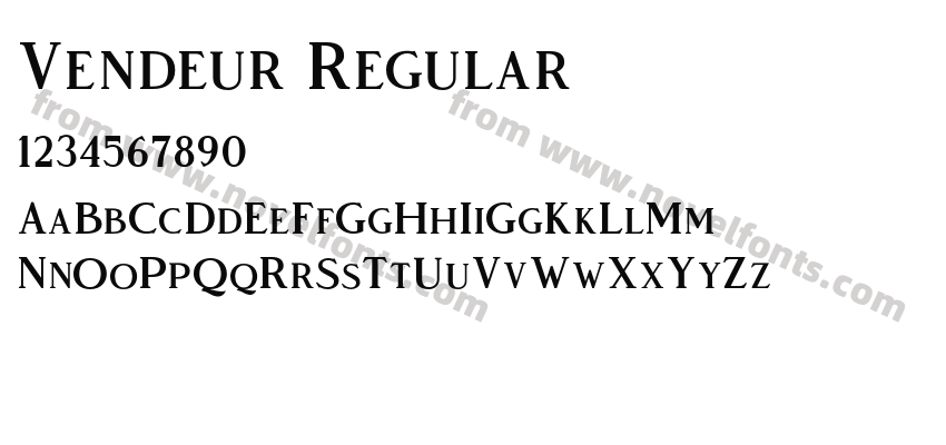 Vendeur RegularPreview