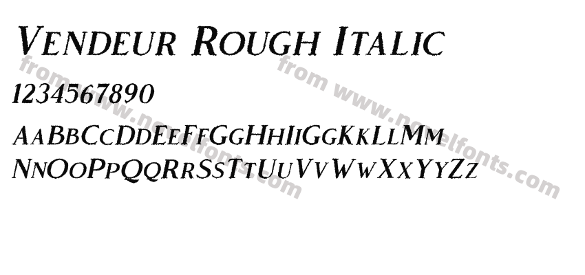 Vendeur Rough ItalicPreview