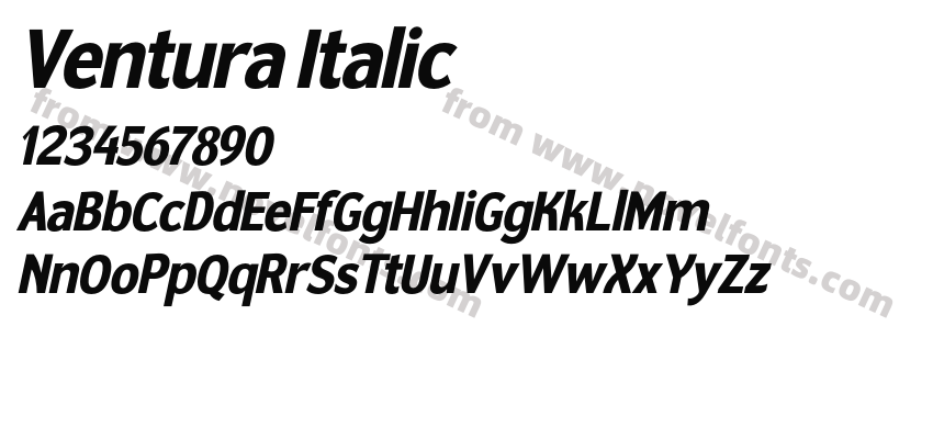 Ventura ItalicPreview