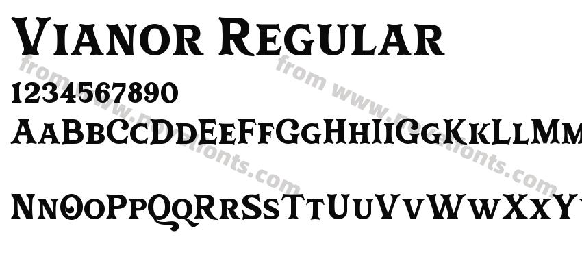 Vianor RegularPreview