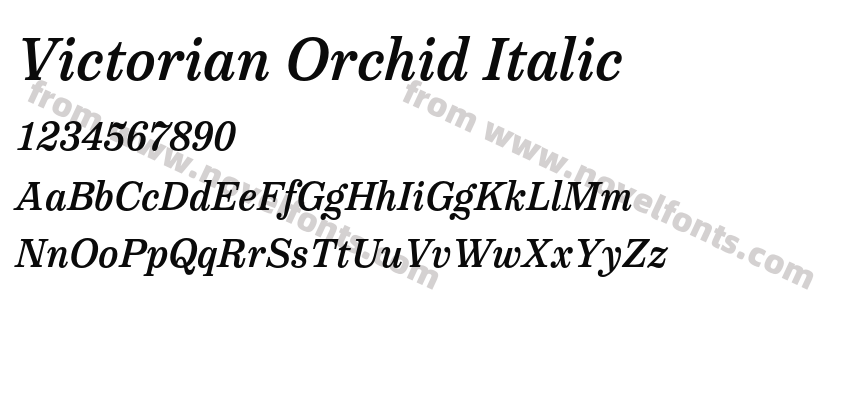 Victorian Orchid ItalicPreview