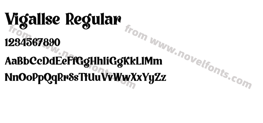 Vigallse RegularPreview