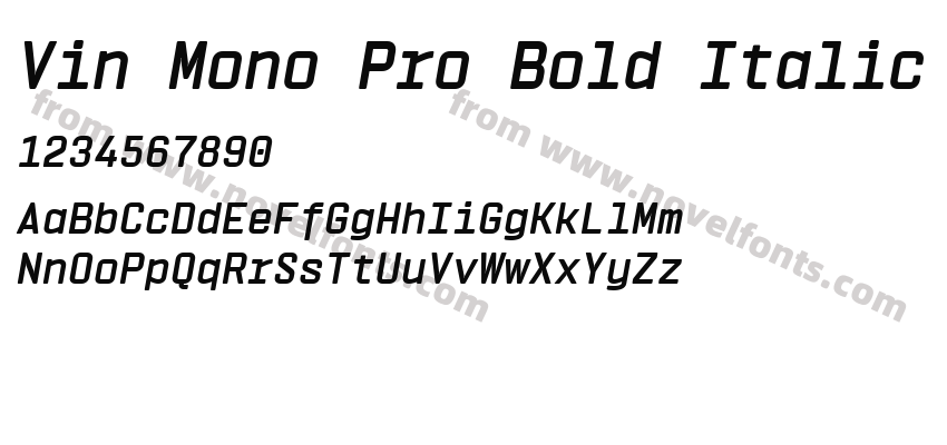 Vin Mono Pro Bold ItalicPreview